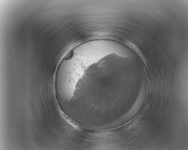 X0000064771386200602241937