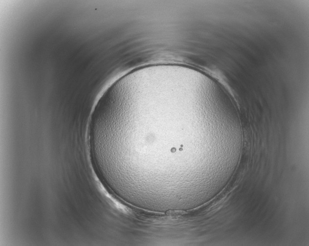 X0000064771387200602241937