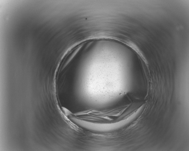 X0000064771388200602241937