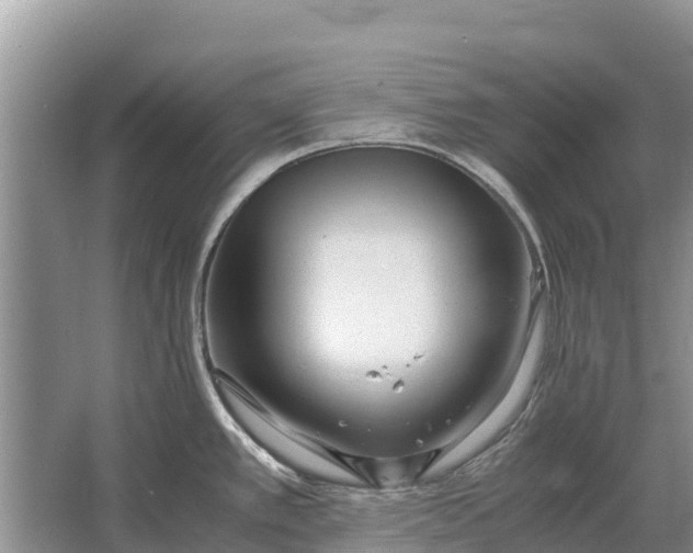 X0000064771389200602241937