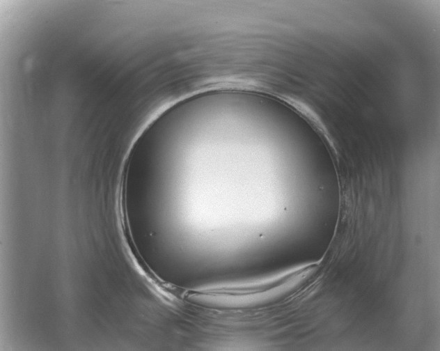 X0000064771391200602241937