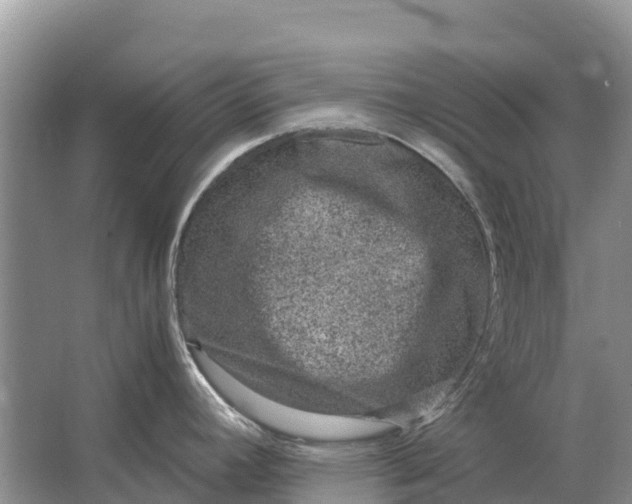 X0000064771392200602241937