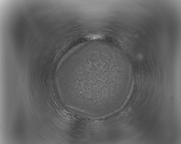 X0000064771393200602241935