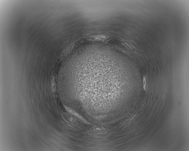 X0000064771395200602241935