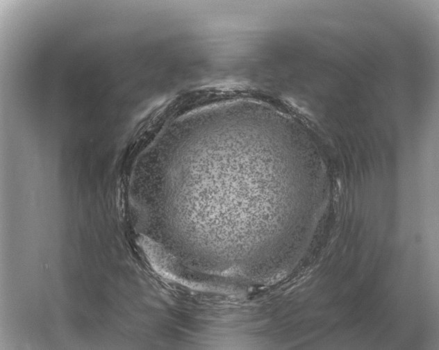 X0000064771398200602241935