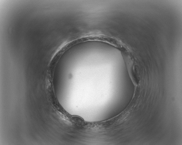 X0000064771400200602241936