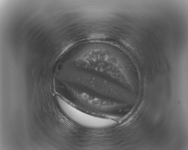 X0000064771401200602241936