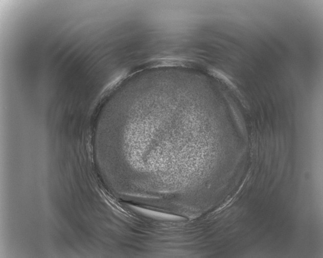 X0000064771403200602241936