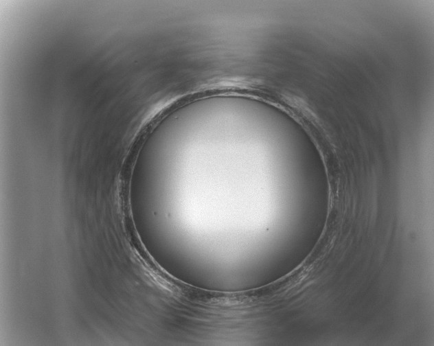 X0000064771404200602241936