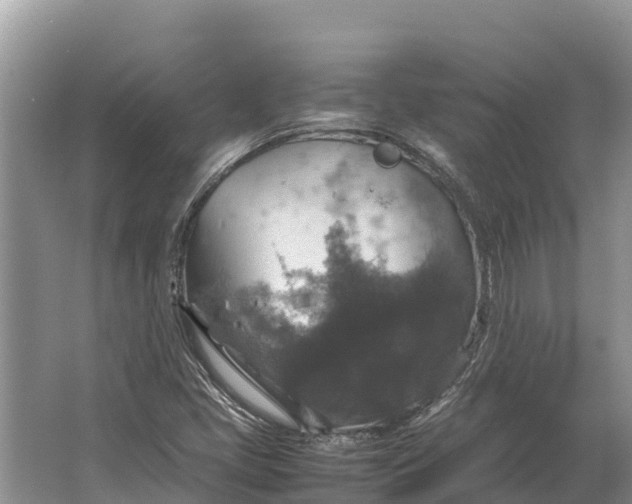 X0000064771405200602241936