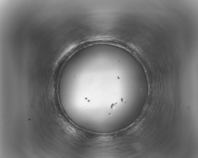 X0000064771406200602241936