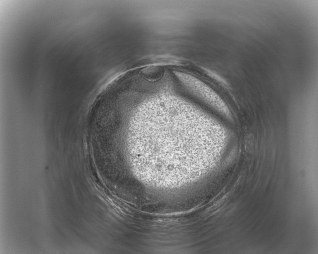 X0000064771407200602241936