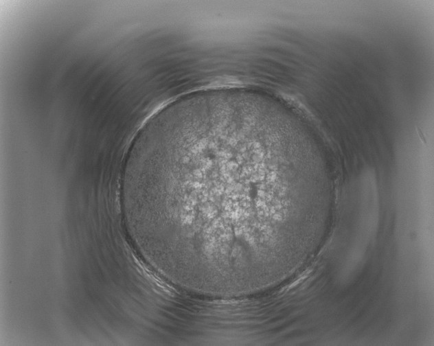 X0000064771409200602241936