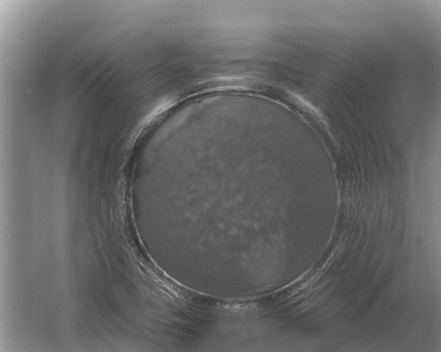 X0000064771411200602241936