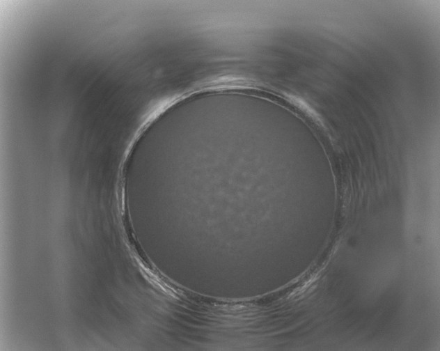 X0000064771413200602241936