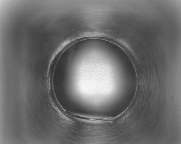 X0000064771414200602241936