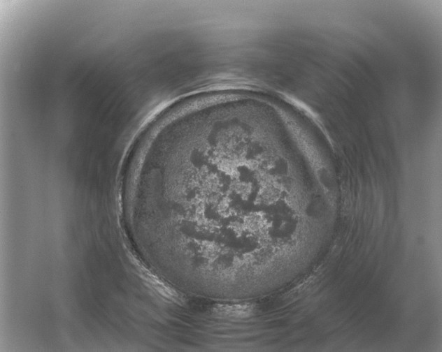 X0000064771415200602241936