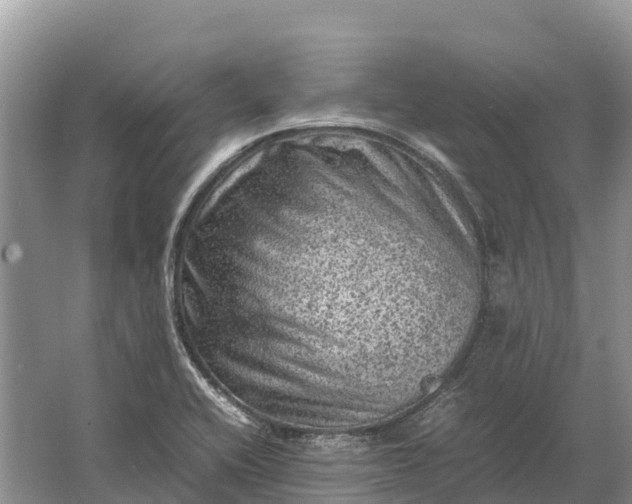 X0000064771416200602241936