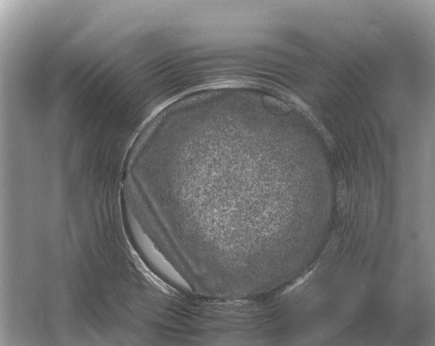 X0000064771417200602241936