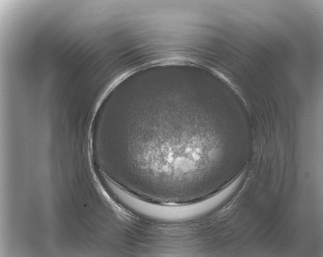 X0000064771418200602241936