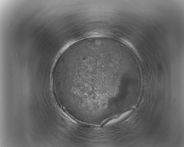 X0000064771419200602241936