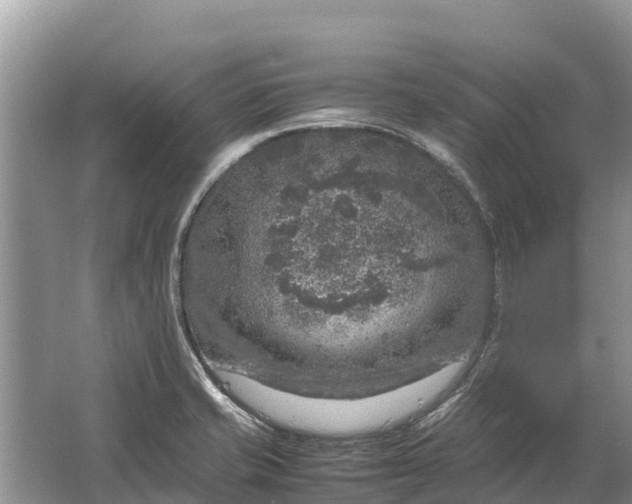 X0000064771421200602241936