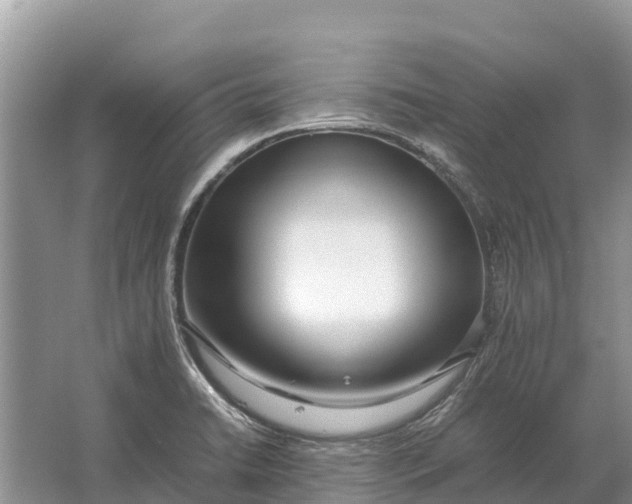 X0000064771422200602241936