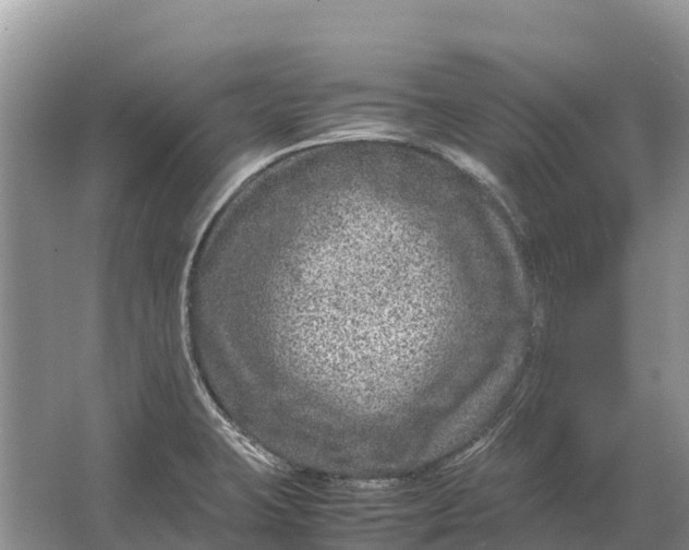 X0000064771423200602241936