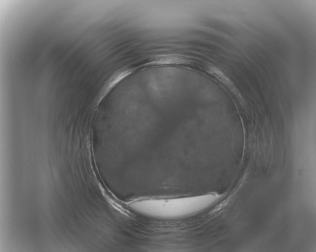 X0000064771425200602241936