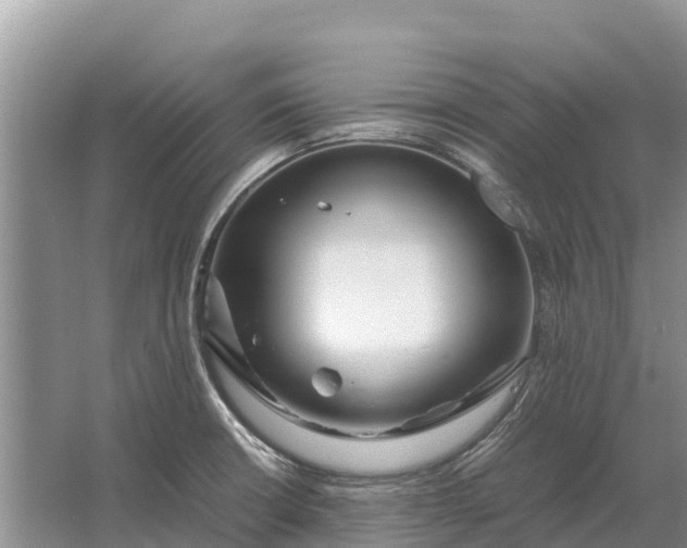 X0000064771426200602241936