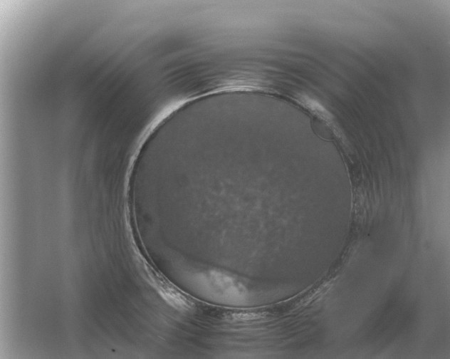 X0000064771427200602241936