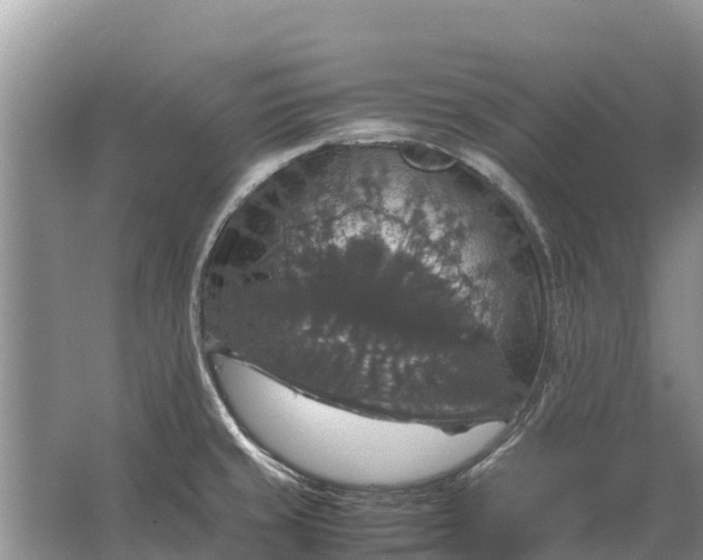 X0000064771429200602241936