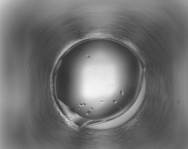 X0000064771430200602241936