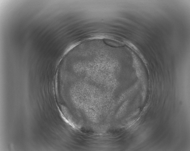 X0000064771433200602241936