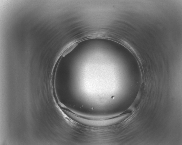 X0000064771434200602241936