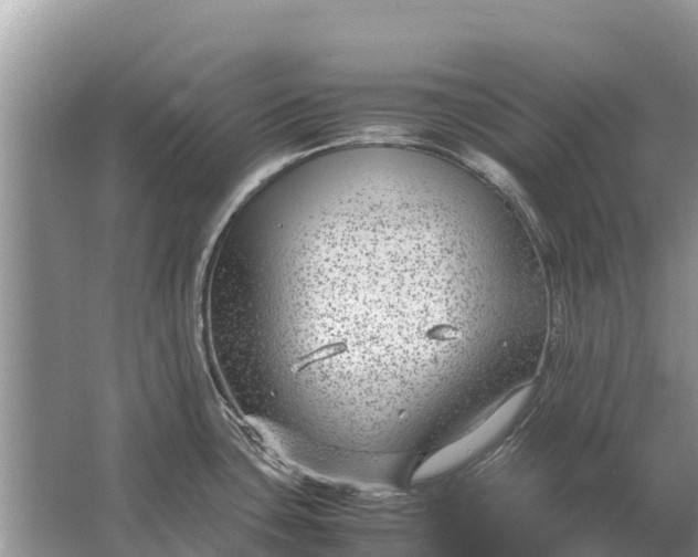 X0000064771435200602241936