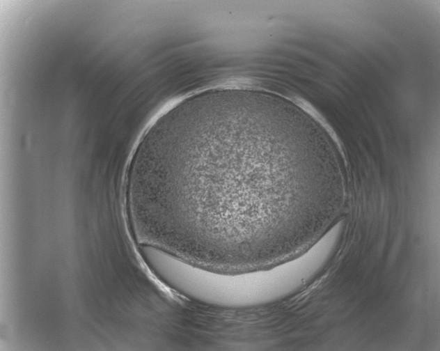 X0000064771437200602241936