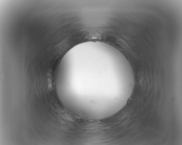 X0000064771442200602241935