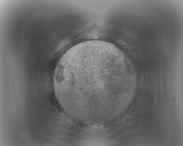 X0000064771446200602241935