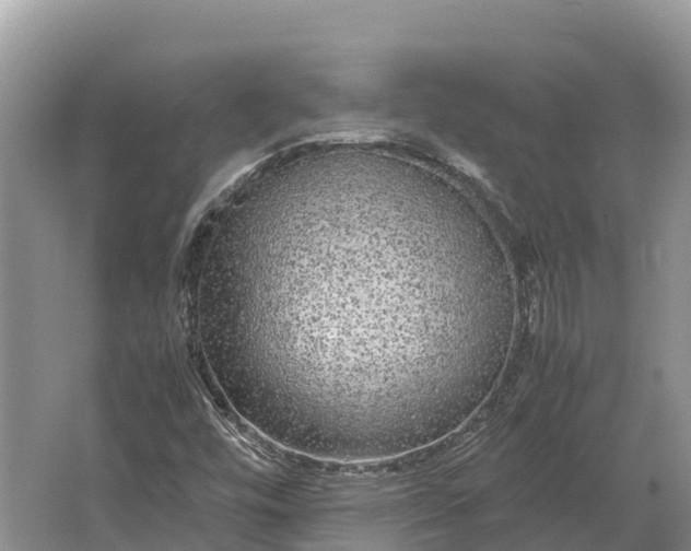 X0000064771448200602241935