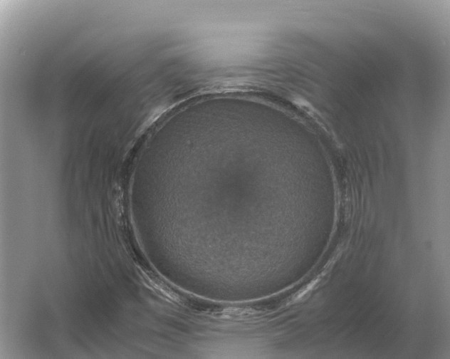 X0000064771449200602241935