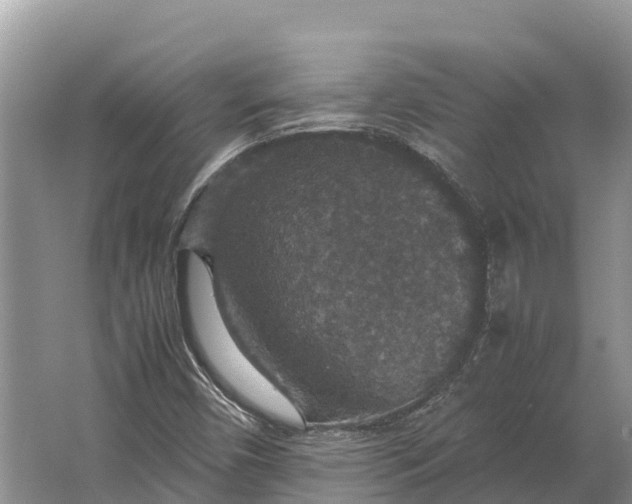 X0000064771450200602241935