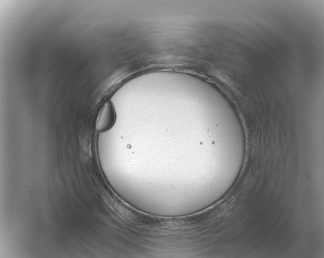 X0000064771451200602241935