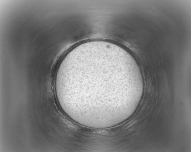 X0000064771454200602241935