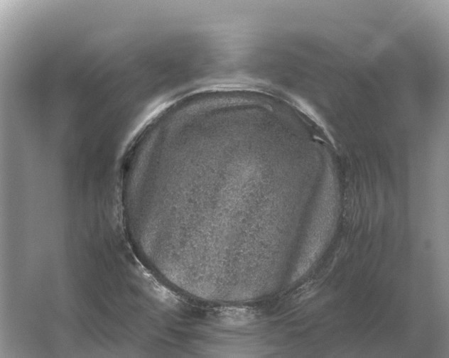 X0000064771456200602241935