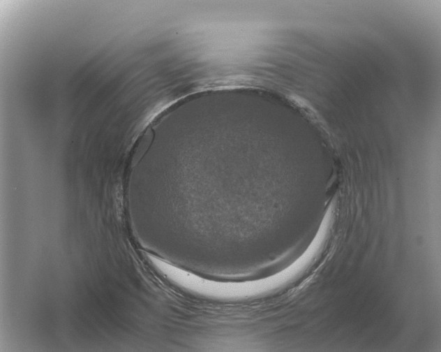 X0000064771457200602241935