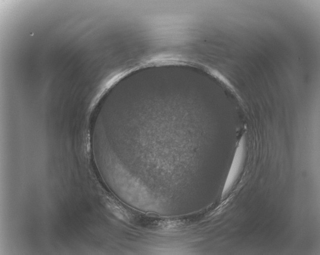 X0000064771461200602241935