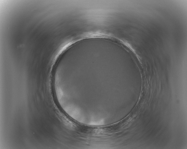 X0000064771463200602241935