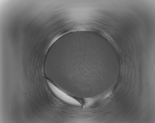 X0000064771465200602241935