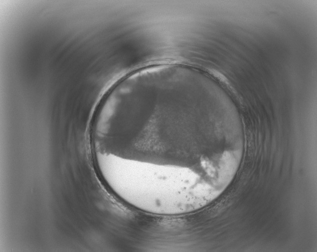 X0000064771466200602241935